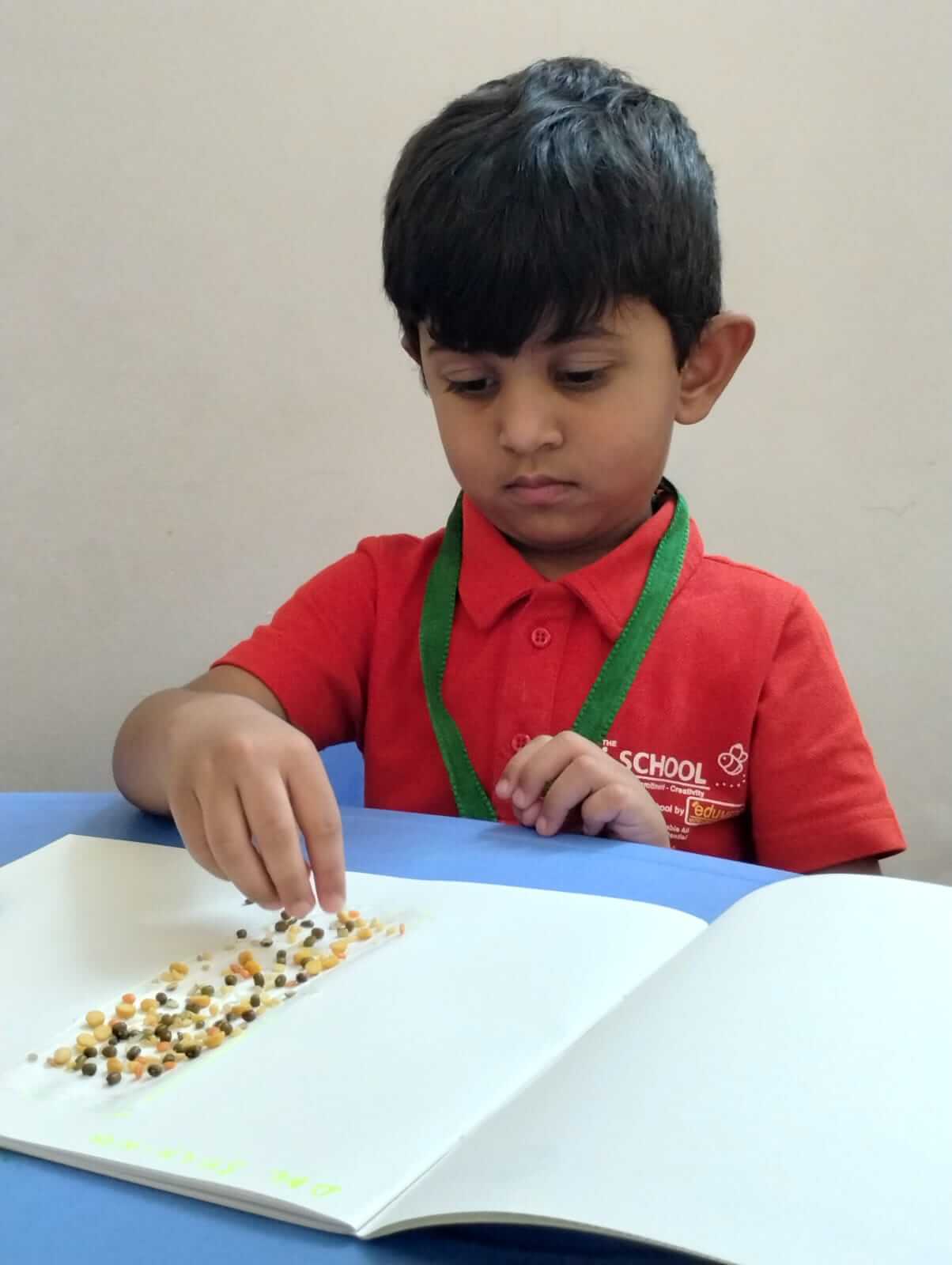 Play School Kalindi Gold City, Indore